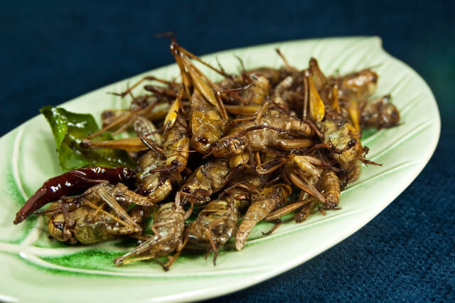 жаренные сверчки